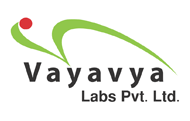 Vayavya Labs